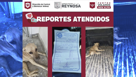 Privilegia Alcalde Carlos Peña Ortiz atención de denuncias ciudadanas 