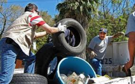 Por lluvias recientes activan programa contra el dengue en Matamoros 