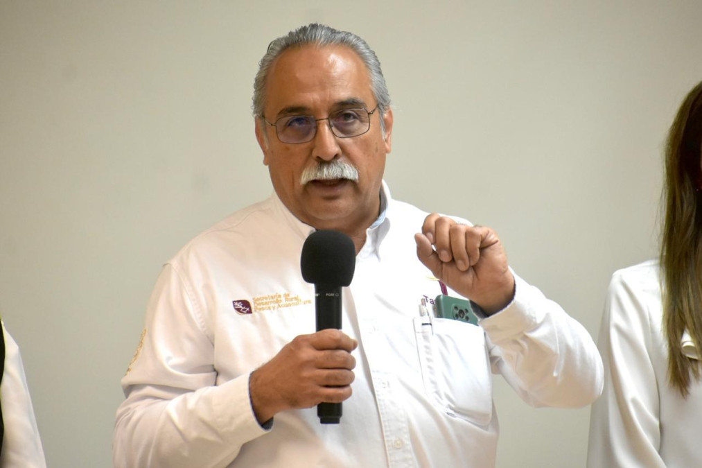 Ocupa Tamaulipas segundo lugar en producción de carbón