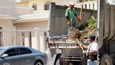 Limpian Colonia Leonística