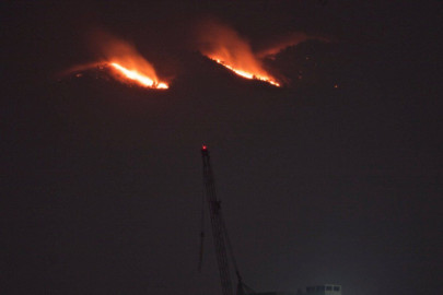 Controlan incendio forestal en el Ajusco