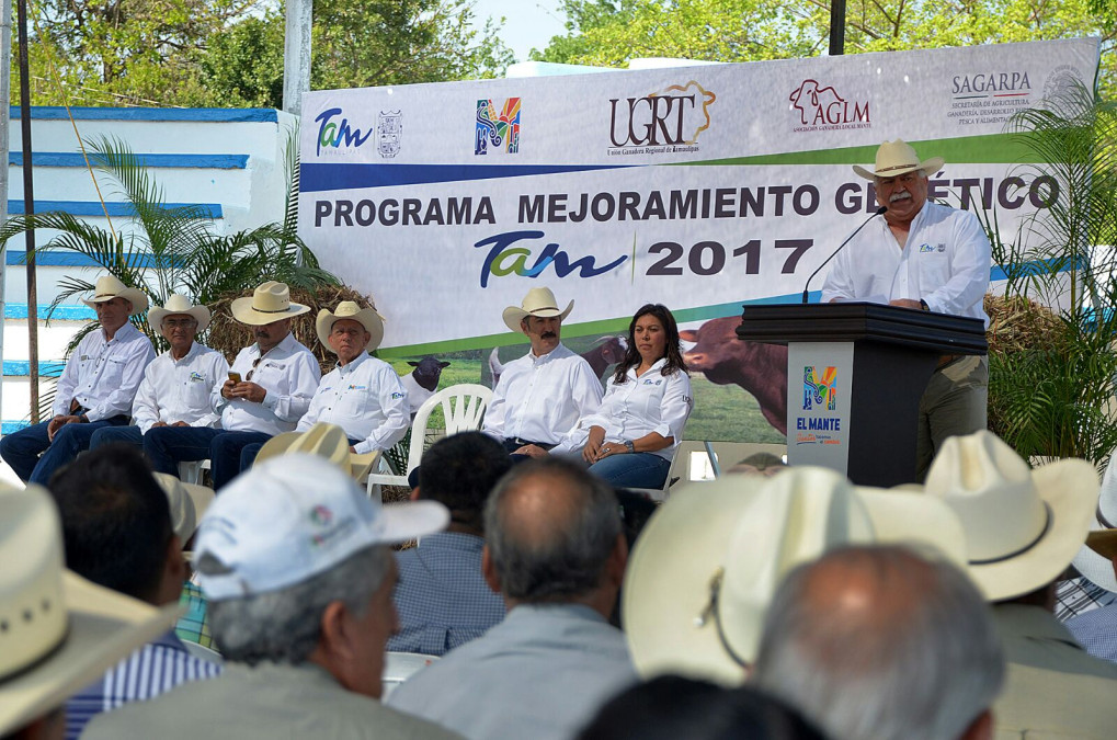 Arranca el programa de Mejoramiento Genético Tam 2017 