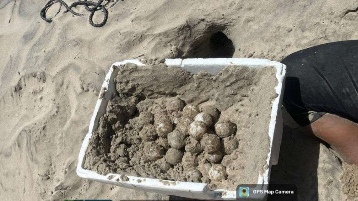 Listo operativo para Semana Santa