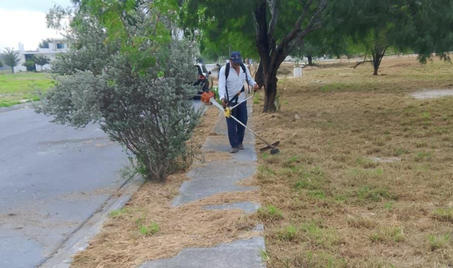 Atienden cuadrillas del Gobierno de Reynosa limpieza, bacheo y alumbrado público 